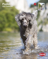 Kalender Pudel