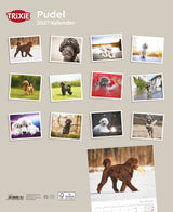 Kalender Pudel