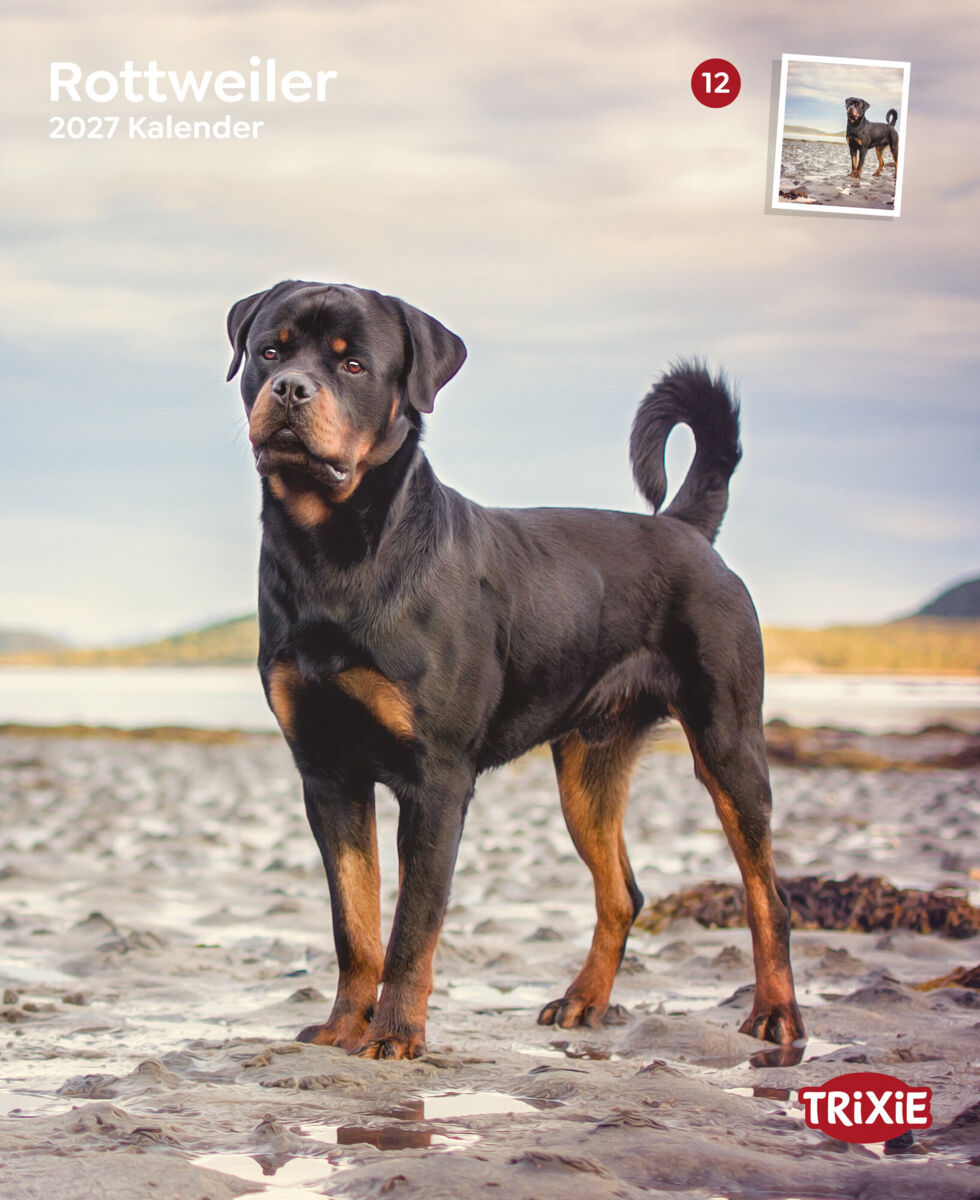Rottweiler steht auf sandigem Boden vor einem bewölkten Himmel, „2027 Kalender“ und „TRIXIE“ sichtbar.