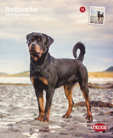 Rottweiler steht auf sandigem Boden vor einem bewölkten Himmel, „2027 Kalender“ und „TRIXIE“ sichtbar.