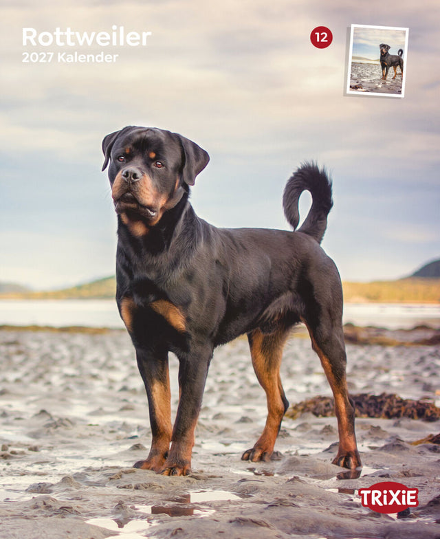 Rottweiler steht auf sandigem Boden vor einem bewölkten Himmel, „2027 Kalender“ und „TRIXIE“ sichtbar.