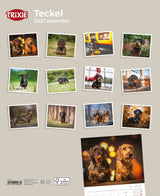 TRIXIE Teckel-Wandkalender 2027 mit Fotos von Hunden in verschiedenen Umgebungen auf beigem Hintergrund.