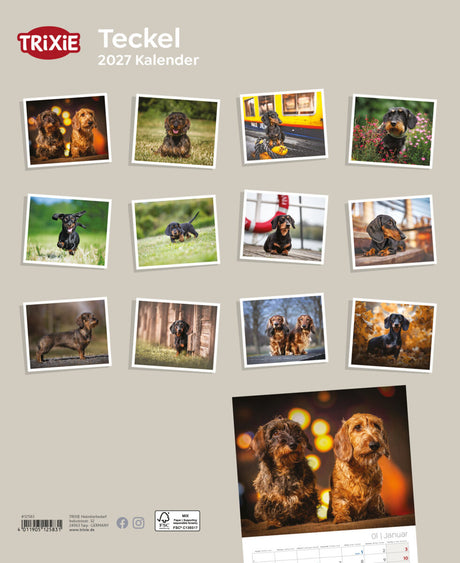 TRIXIE Teckel-Wandkalender 2027 mit Fotos von Hunden in verschiedenen Umgebungen auf beigem Hintergrund.
