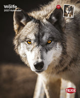 Nahaufnahme eines Wolfs mit gelben Augen, begleitet von Text „Wölfe 2027 Kalender".