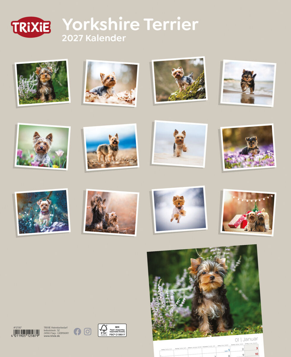 Kalender mit Yorkshire Terrier Fotos auf beigem Hintergrund, Logo und Titel oben links.