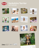 Kalender mit Yorkshire Terrier Fotos auf beigem Hintergrund, Logo und Titel oben links.