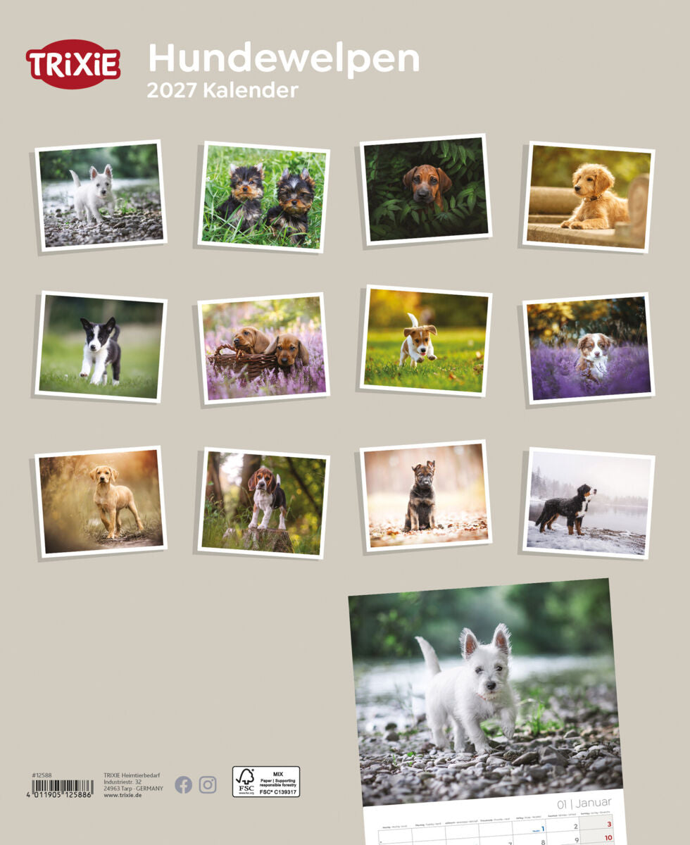 Cover eines Kalenders mit verschiedenen Fotos von Hundewelpen auf beigem Hintergrund.