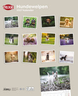 Cover eines Kalenders mit verschiedenen Fotos von Hundewelpen auf beigem Hintergrund.