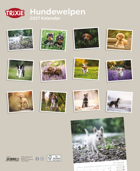 Cover eines Kalenders mit verschiedenen Fotos von Hundewelpen auf beigem Hintergrund.