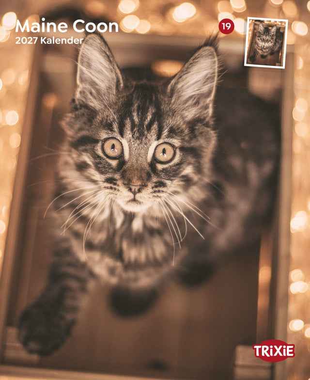 Langhaarige Katze mit getigertem Fell in Nahaufnahme, umgeben von unscharfen Lichtern, Trixie-Logo.