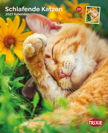 Eine schlafende, orange Katze liegt neben gelben Blumen, mit Kalendertext und TRIXIE-Logo.