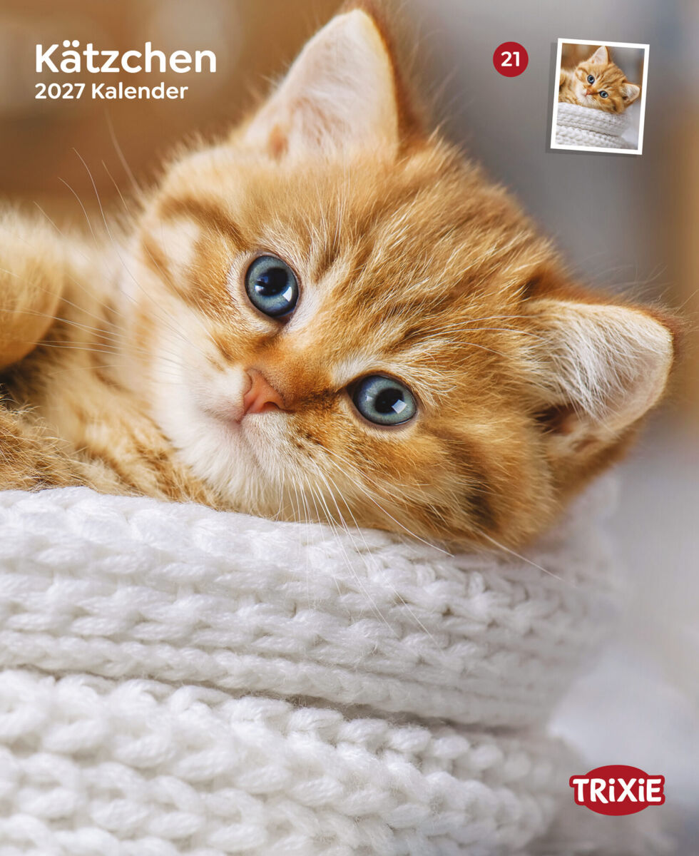 Rotes Kätzchen liegt in weiß gestricktem Korb, mit Schriftzug „Kätzchen 2027 Kalender“ und „TRIXIE“-Logo.
