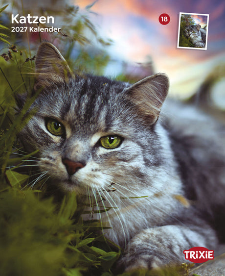 Graue Katze mit grünen Augen liegt im Gras, Trixie-Logo und Text "Katzen 2027 Kalender" sichtbar.