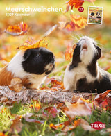Zwei Meerschweinchen mit Herbstblättern sitzen auf einem Baumstamm im Gras. Oben steht "Meerschweinchen 2027 Kalender".
