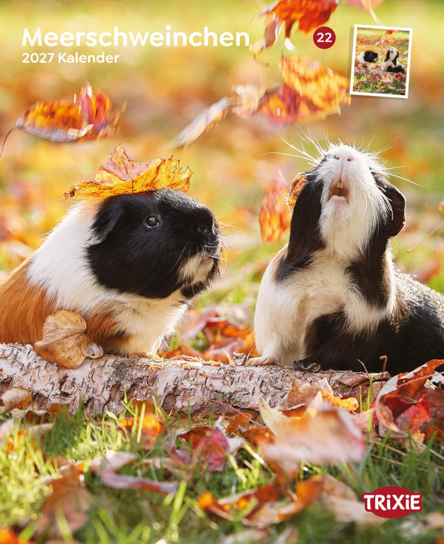 Zwei Meerschweinchen mit Herbstblättern sitzen auf einem Baumstamm im Gras. Oben steht "Meerschweinchen 2027 Kalender".