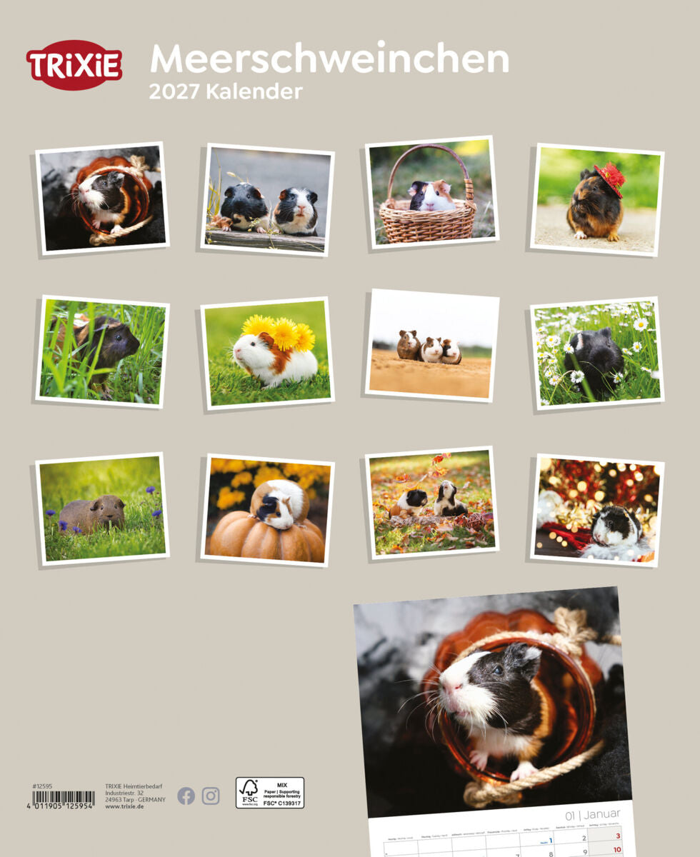 Kalender zeigt Meerschweinchen in verschiedenen Posen und Umgebungen für das Jahr 2027.