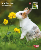 Ein Kaninchen schnuppert an einer gelben Blume im Grünen. Text: „Kaninchen 2027 Kalender“.