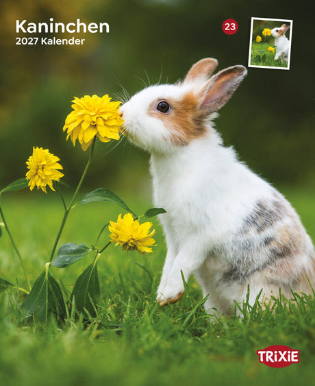 Ein Kaninchen schnuppert an einer gelben Blume im Grünen. Text: „Kaninchen 2027 Kalender“.