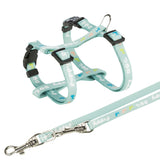 Hellblaue Hundehalsband und Leine mit mehrfarbigem Hunde-Design und Aufschrift "Dog", Metallschnallen und Verschlüsse.