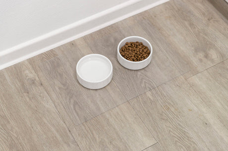 Zwei weiße Schüsseln auf einem Holzfußboden, eine mit Wasser gefüllt, die andere mit braunen Pellets.