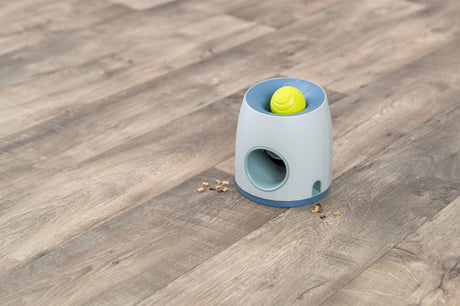 Grauer Ballwerfer mit gelbem Ball auf Holzfußboden, daneben kleine Leckerchen verteilt.