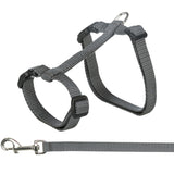Graues Hundegeschirr aus Nylon mit verstellbaren Riemen und Metallring, daran befestigt eine passende Leine mit Karabiner.