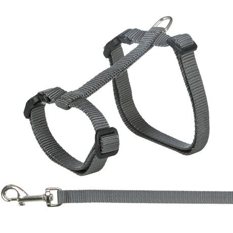 Graues Hundegeschirr aus Nylon mit verstellbaren Riemen und Metallring, daran befestigt eine passende Leine mit Karabiner.