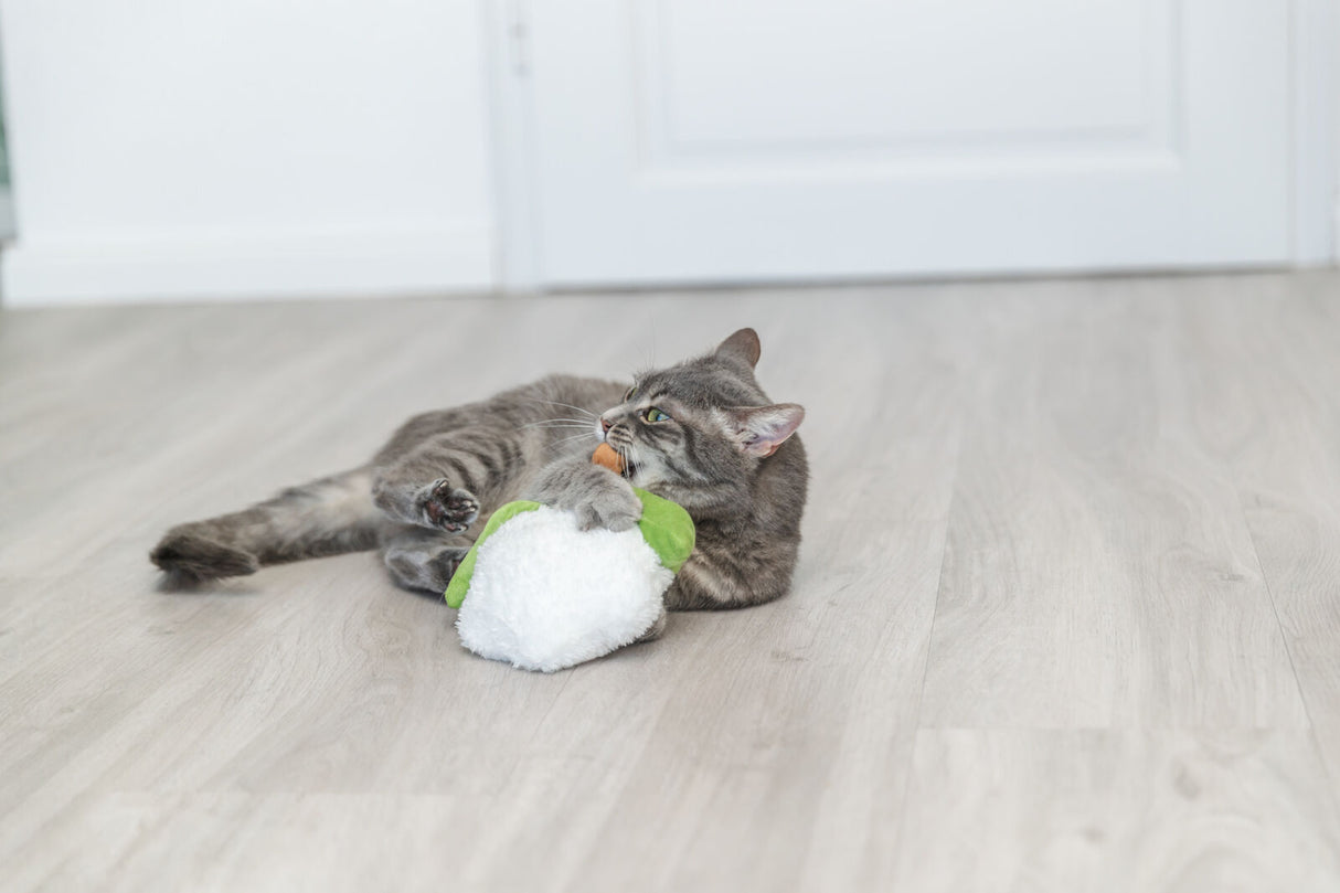 Graue Katze spielt auf Holzboden mit einem weißen und grünen Stoffspielzeug.