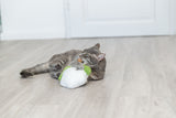 Graue Katze spielt auf Holzboden mit einem weißen und grünen Stoffspielzeug.