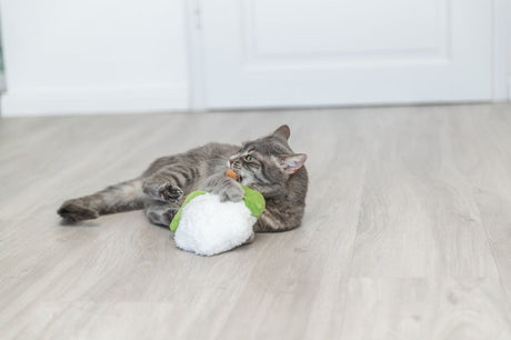 Graue Katze spielt auf Holzboden mit einem weißen und grünen Stoffspielzeug.