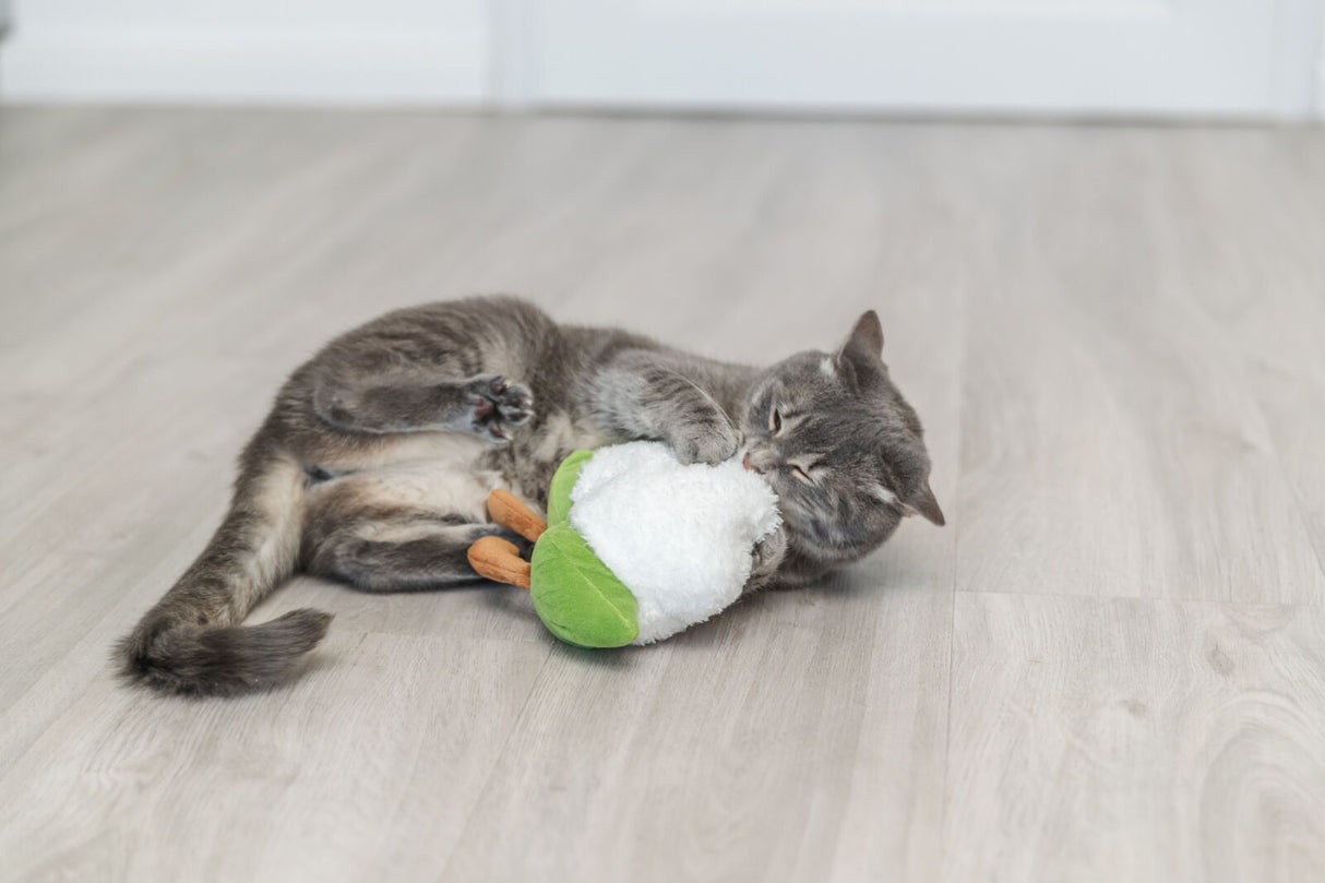 Eine graue Katze spielt mit einem weißen und grünen Stoffspielzeug auf einem Holzboden.