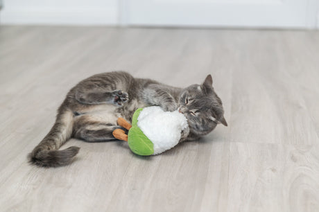 Eine graue Katze spielt mit einem weißen und grünen Stoffspielzeug auf einem Holzboden.