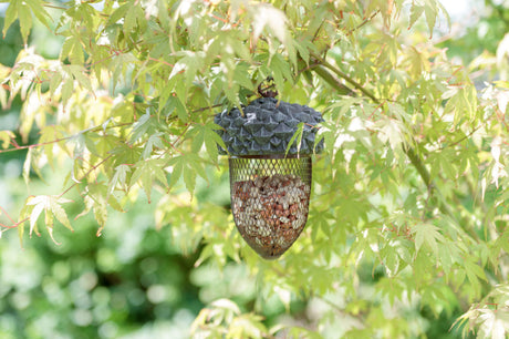 Ein Futterspender in Eichelform mit Gitter hängt an einem Baum voller grüner Blätter.