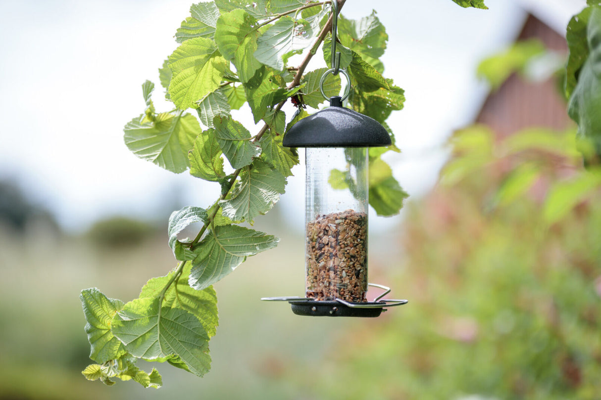 Transparenter Vogelfutterspender mit schwarzer Kappe hängt an grünem Ast, gefüllt mit Körnern.