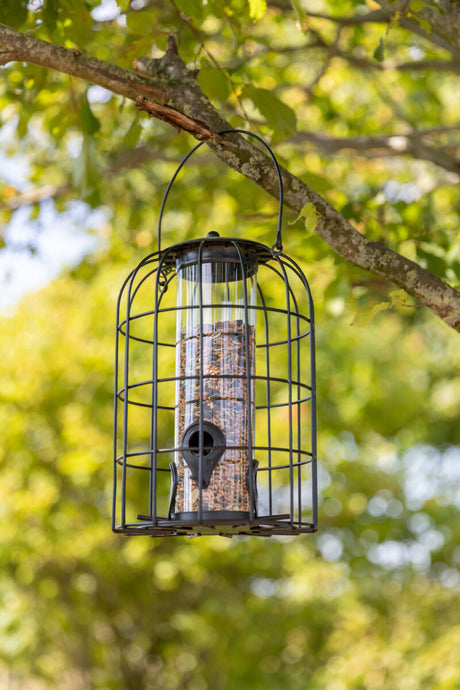 Vogelfutterspender mit Metallgitter hängt an einem Baumast, gefüllt mit Vogelfutter, mit unscharfem Blattwerk im Hintergrund.