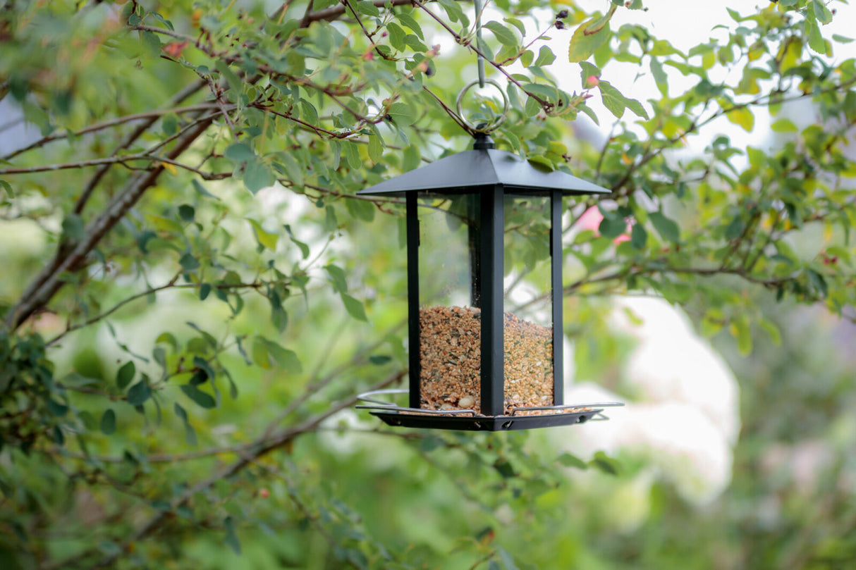 Schwarzes Vogelhaus mit Futter, aufgehängt in einem Baum mit grünen Blättern.