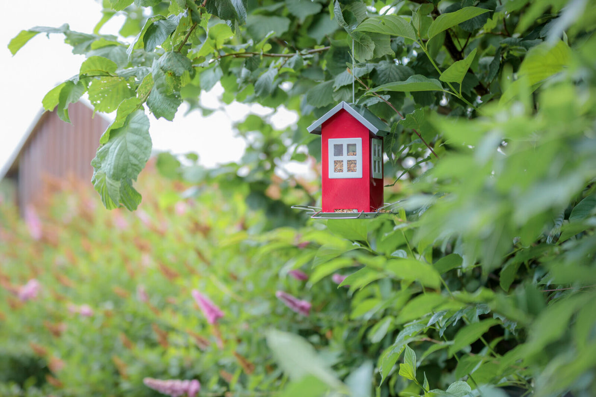 Rotes Vogelhäuschen in Form eines Hauses, hängend an grünem Laub im Garten, gefüllt mit Vogelfutter.