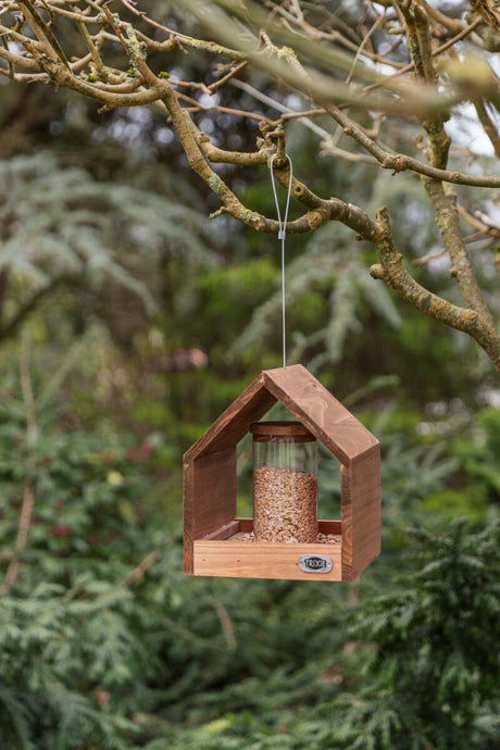 Hölzernes Vogelhaus mit transparenter Röhre, gefüllt mit Vogelfutter, hängt an einem Baumzweig im Grünen.