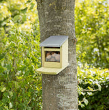 Holzbox mit Metallabdeckung und Glasfront, gefüllt mit Nüssen, an einem Baum befestigt, umgeben von grüner Vegetation.