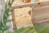 Holzkäfig mit Holzspänen im Inneren, Türöffnung mit Scharnier, grüne Blätter im Vordergrund.