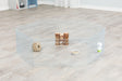 Metall-Laufstall auf Holzboden mit Futternapf, Wasserflasche, Holzspielzeug und knabberbarem Ball innen.
