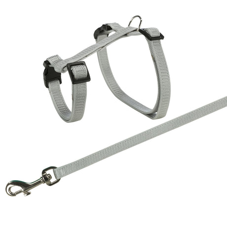 Graues Hundegeschirr mit passender Leine, verstellbare Schnallen, D-Ring und silberner Karabinerhaken.