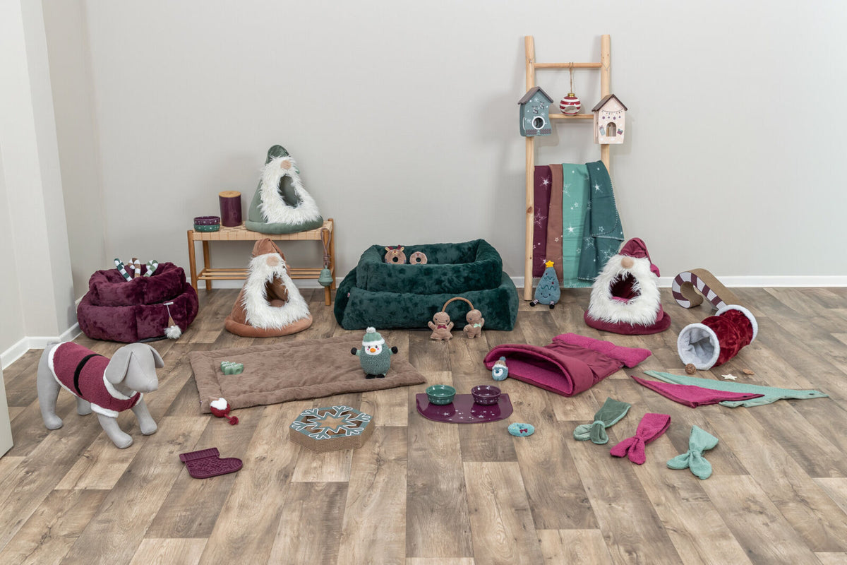 Raum mit verschiedenen Haustierprodukten wie Körbchen, Spielzeugen und Decken auf Holzboden.