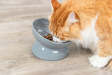 Eine orange-weiße Katze frisst aus einem grauen Napf auf einem Holzfußboden.
