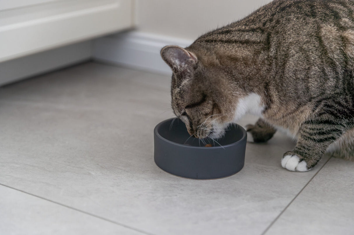 Eine braun-weiß gestreifte Katze frisst aus einem grauen Napf auf einem hellen Fliesenboden.