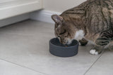 Eine braun-weiß gestreifte Katze frisst aus einem grauen Napf auf einem hellen Fliesenboden.