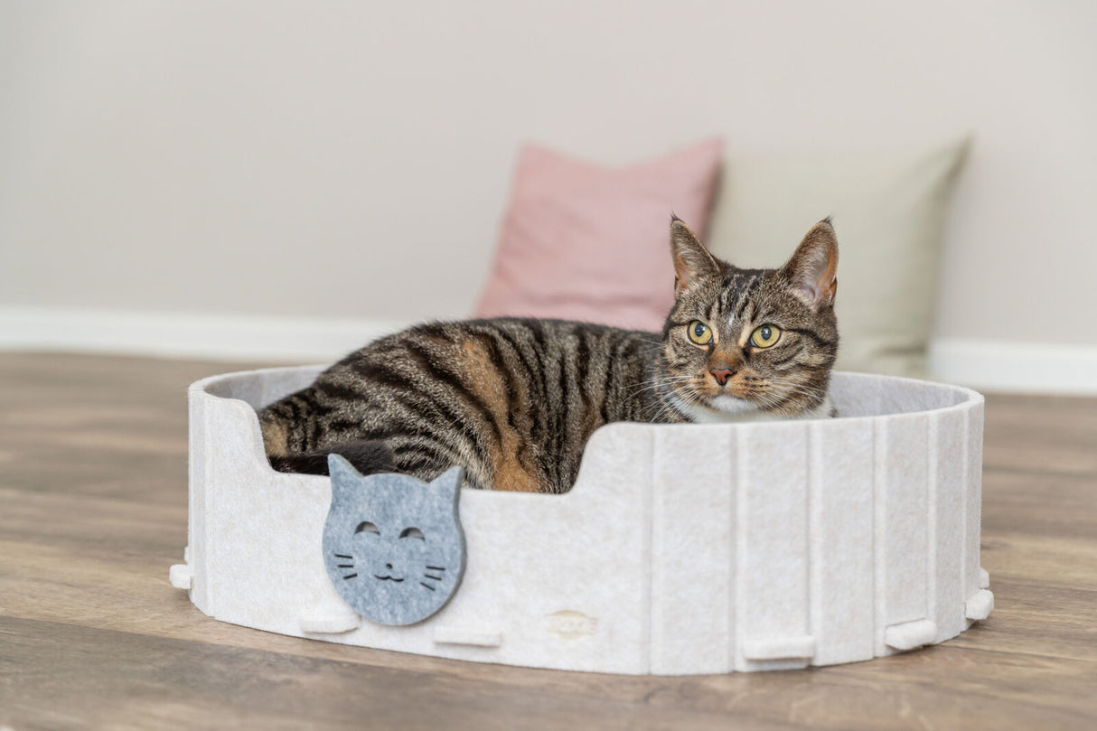Katze liegt in einem runden, hellen Bett mit Katzenmotiv im Vordergrund.