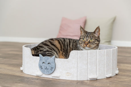 Katze liegt in einem runden, hellen Bett mit Katzenmotiv im Vordergrund.