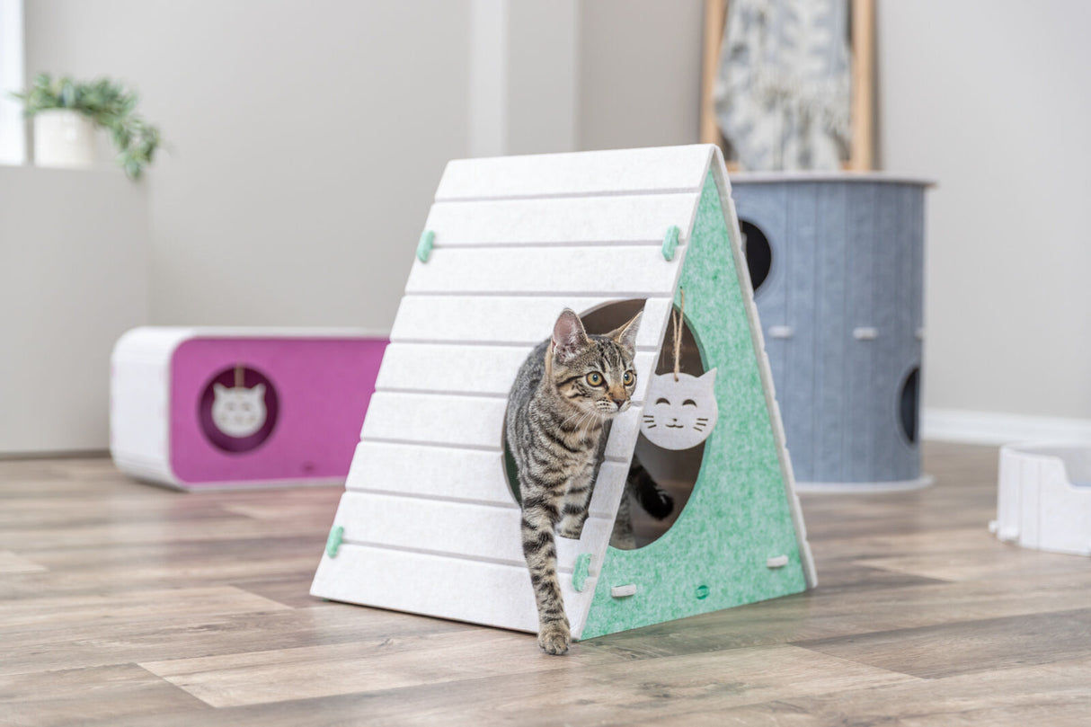 Getigerte Katze tritt aus dreieckiger, grüner Spielhöhle auf Holzboden.