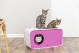 Zwei grau getigerte Katzen sitzen auf einer rechteckigen, rosa Katzenhöhle aus Filz.